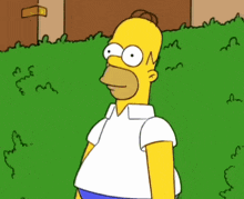 Homer Simpson backing away into a hedge until he disappears.